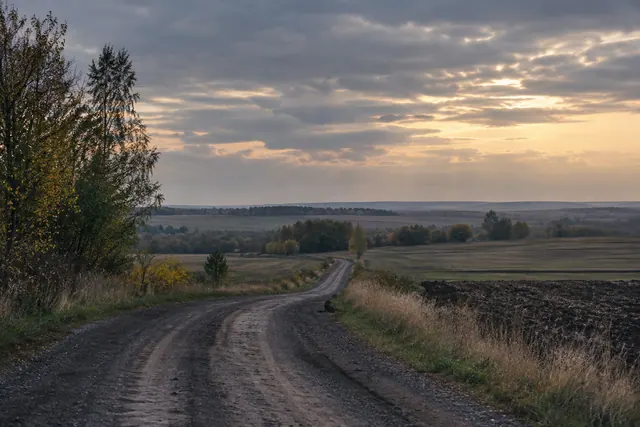 Тихая сельская дорога между полями